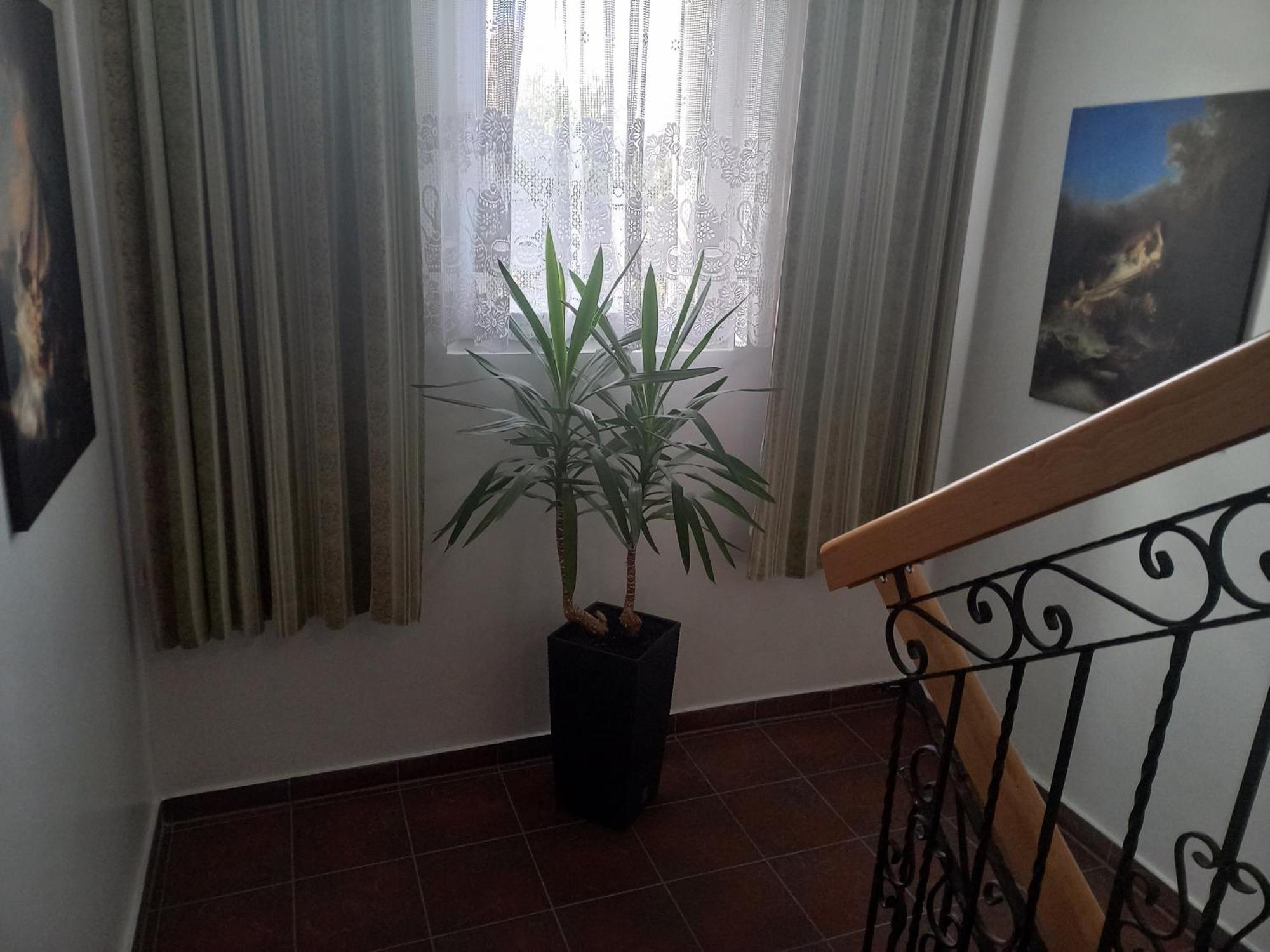 Aparthotel Korona Przy Termach Cieplickich 10Proc Rabatu Do Term Jelenia Gora Exterior photo
